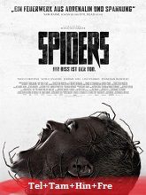 Spiders