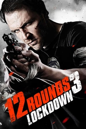 12 Rounds 3 Lockdown 2015 Hindi Dual Audio 300MB - Movierulz