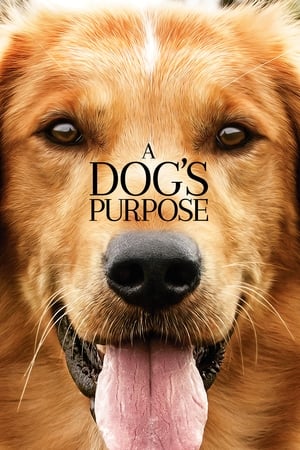 A Dog's Purpose (2017) Full Movie 850MB - Movierulz