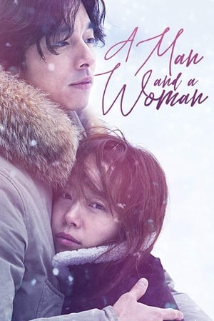 A Man and A Woman (2016) Hindi Dual Audio [950MB] - Movierulz