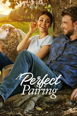 A Perfect Pairing (2022) Hindi Dual Audio – - Movierulz