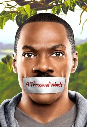 A Thousand Words (2012) Hindi Dual Audio 300MB - Movierulz