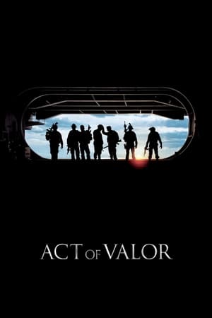 Act of Valor (2012) Hindi Dual Audio 390MB - Movierulz