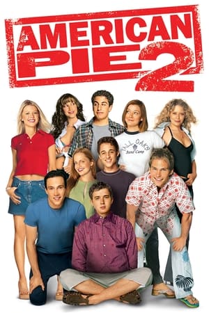 American Pie 2 (2001) Hindi Dual Audio 375MB - Movierulz