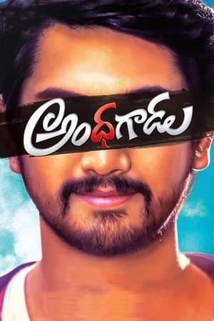 Andhhagadu 2017 Hindi Dual Audio 400MB - Movierulz