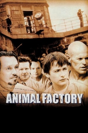 Animal Factory (2000) Hindi Dual Audio [950MB] - Movierulz