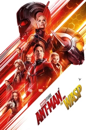 Ant Man and the Wasp (2018) Hindi (Org) Dual Audio [1.1GB] - Movierulz