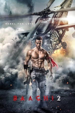 Baaghi 2 2018 Movie [1.4GB] - Movierulz
