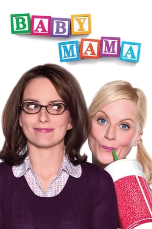 Baby Mama (2008) Hindi Dual Audio 300MB - Movierulz