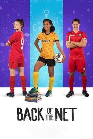 Back of the Net (2019) Hindi Dual Audio 300MB - Movierulz