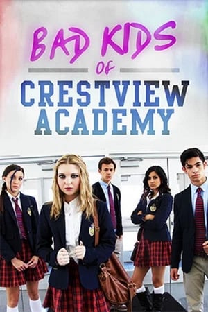 Bad Kids of Crestview Academy (2017) Hindi Dual Audio 330MB - Movierulz