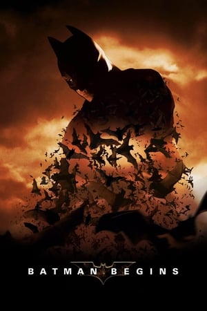 Batman Begins (2005) Hindi Dual Audio [980MB] Download - Movierulz