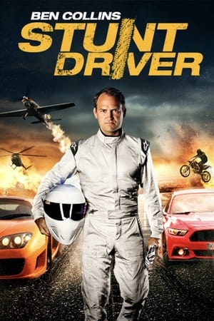 Ben Collins Stunt Driver (2015) Hindi Dual Audio 260MB - Movierulz