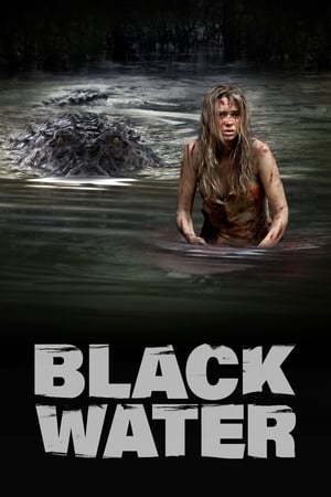 Black Water (2007) Hindi Dual Audio [1GB] - Movierulz