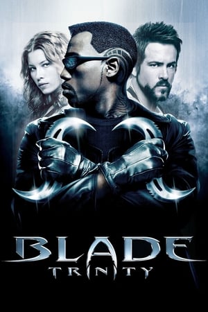 Blade Trinity (2004) 100mb Hindi Dual Audio movie Download - Movierulz