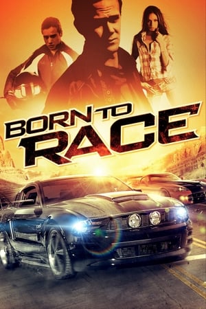Born to Race 2011 Hindi Dual Audio [610MB] - Movierulz