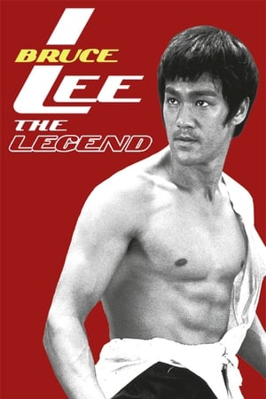 Bruce Lee the Legend 1984 Hindi Dual Audio HDTVRip 300MB - Movierulz