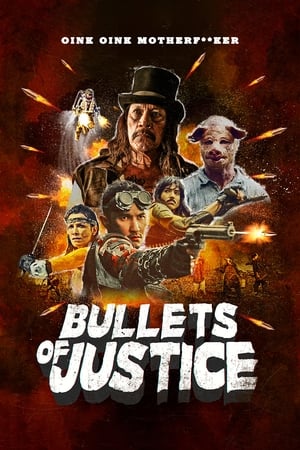 Bullets of Justice (2019) Hindi Dual Audio [850MB] - Movierulz