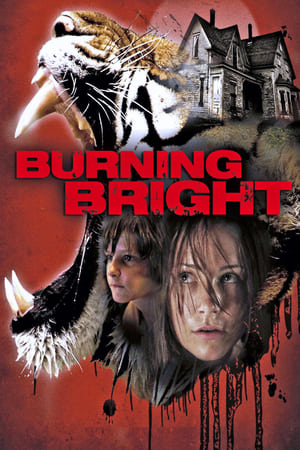 Burning Bright (2010) Hindi Dual Audio [750MB] - Movierulz