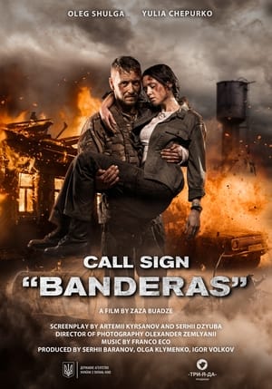 Call Sign Banderas (2018) Hindi Dual Audio – - Movierulz