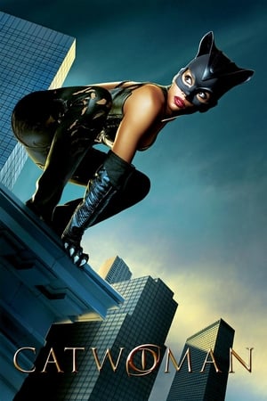 Catwoman (2004) Hindi Dual Audio 400MB - Movierulz