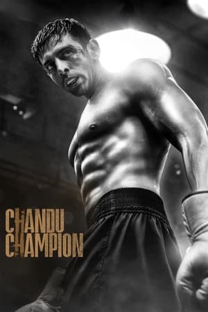 Chandu Champion 2024 Hindi - Movierulz