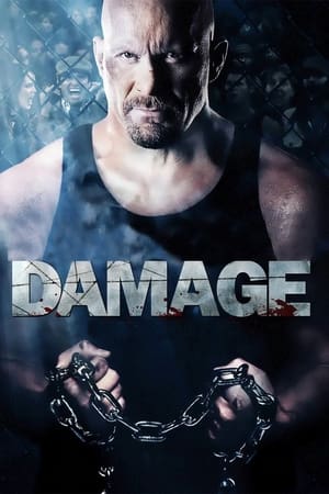 Damage 2009 Hindi Dual Audio 330MB - Movierulz