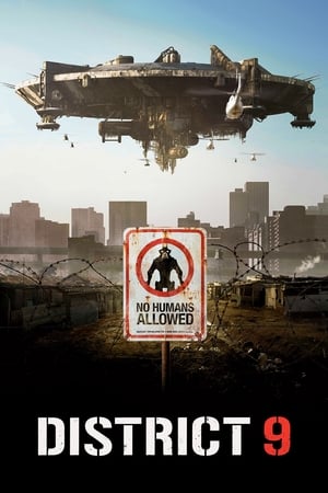 District 9 (2009) Hindi Dual Audio [940MB] - Movierulz