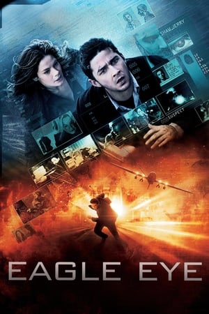 Eagle Eye (2008) Hindi Dual Audio [1.3GB] ESubs - Movierulz