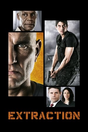 Extraction 2013 Hindi Dual Audio 330MB - Movierulz