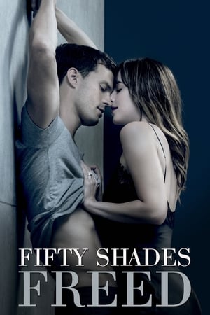 Fifty Shades Freed (2018) Hindi Dual Audio 400MB - Movierulz