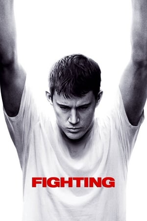 Fighting (2009) 100mb Hindi Dual Audio Download - Movierulz