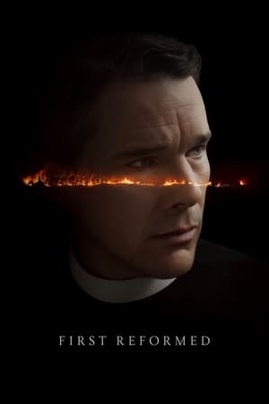 First Reformed 2017 Hindi Dual Audio 350MB - Movierulz