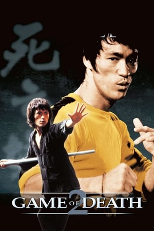 Game of Death II (1981) Dual Audio Hindi 300MB - Movierulz