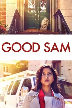 Good Sam 2019 Hindi Dual Audio 300MB - Movierulz