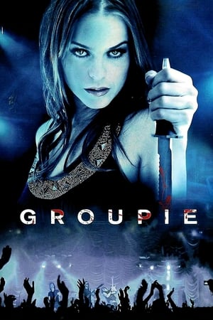Groupie (2010) Hindi Dual Audio [1.1GB] - Movierulz