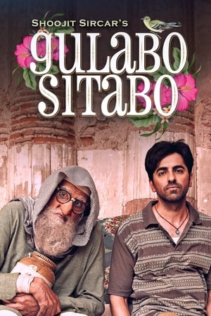 Gulabo Sitabo 2020 Hindi Movie - [360MB] - Movierulz