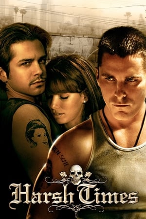 Harsh Times 2005 Hindi Dual Audio – - Movierulz