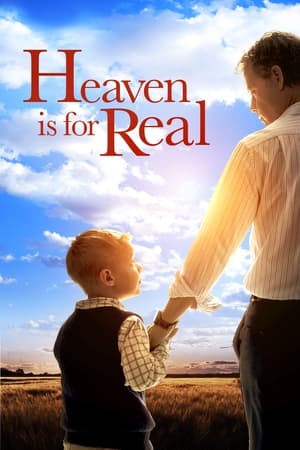 Heaven Is for Real (2014) Hindi Dual Audio 300MB - Movierulz