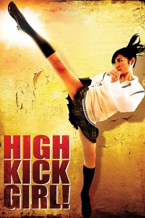 High Kick Girl (2009) 100mb Hindi Dual Audio movie Download - Movierulz