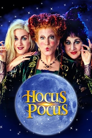 Hocus Pocus 1993 Hindi Dual Audio 320MB - Movierulz
