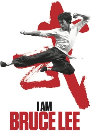 I Am Bruce Lee 2012 300MB Hindi Dual Audio - Movierulz