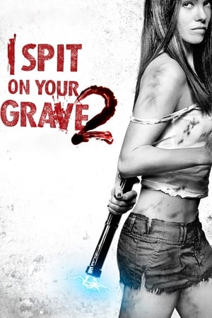 I Spit on Your Grave 2 (2013) Hindi Dual Audio – - Movierulz