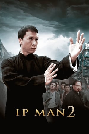 Ip Man 2 (2010) Hindi Dual Audio [1GB] - Movierulz