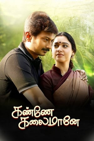 Kanne Kalaimaane 2019 (Hindi - Tamil) Dual Audio 450MB - Movierulz