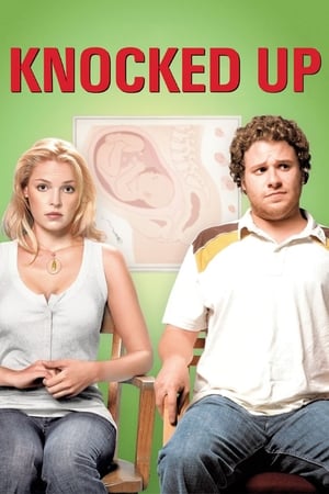 Knocked Up (2007) Hindi Dual Audio [1GB] - Movierulz