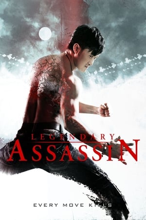 Legendary Assassin (2008) Hindi Dual Audio [1GB] - Movierulz