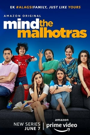 Mind the Malhotras (2019) Season 1 Hindi Web Series[Complete] - Movierulz