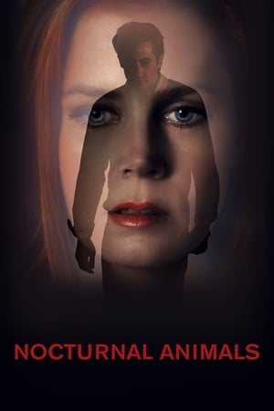 Nocturnal Animals (2016) Hindi Dual Audio [1GB] - Movierulz