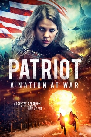 Patriot A Nation at War 2020 Hindi Dual Audio [930MB] - Movierulz